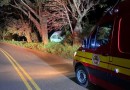Carro sai da pista na rodovia entre São José do Cedro e Princesa