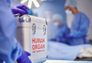 Brasil bate recorde de transplantes e anuncia melhorias no SUS