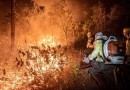 Brasil teve 11,39 milhões de hectares atingidos pelo fogo este ano; quase a metade apenas em agosto
