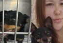 Cachorrinha de vítima de homicídio e esquartejamento é encontrada após dias desaparecida