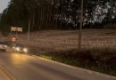 Motoristas são flagrados furando fila e trafegando na contramão em acostamento na BR-163