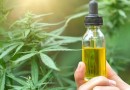 Após liberação, primeira importação de cannabis medicinal já tem data para chegar ao estado