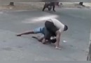 Lutador de jiu-jitsu reage a assalto e desarma criminoso
