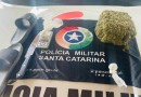 Adolescente de 15 anos sofre violência doméstica; companheiro foge e drogas são apreendidas