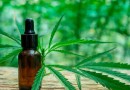 Com foco em saúde e mercado, OAB realiza seminário sobre Cannabis em SC