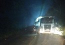 Caminhão carregado de suínos sai da pista e colide em defesa e árvores na SC-283