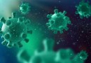 Europa fecha fronteiras após surto de vírus altamente contagioso