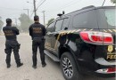 PF combate tráfico de drogas em encomendas via transportadoras