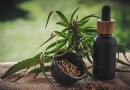 Anvisa autoriza três novos produtos derivados de Cannabis