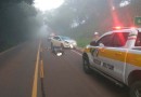 Motociclista fica ferido em colisão frontal na SC 305 em Anchieta