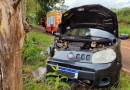 Saída de pista seguida de colisão com árvore deixa motorista ferido