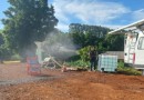Cerca de 6 mil perus são abatidos após foco de Doença de Newcastle em granja