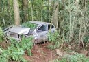 Homem fica ferido ao sair da pista e colidir com árvore na BR-282 em Maravilha