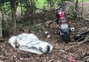 Jovem morre em saída de pista seguida de queda de moto na PR 182