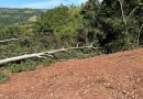 Homem morre ao ser atingido por árvore no interior