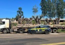 PRF apreende oliveiras argentinas importadas irregularmente no Paraná