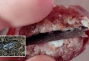 Lâminas escondidas em salame colocam animais em risco no Oeste de SC