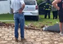 Homem é atropelado na rua Parigot de Souza, no centro da cidade