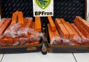Polícia Militar apreende mais de 31 Kg de maconha em ônibus interestadual
