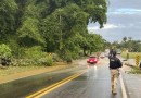 Risco de acidente em rodovias federais sob gestão pública é maior