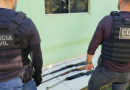 Polícia Civil apreende sete armas e mais de 130 munições em operação no interior