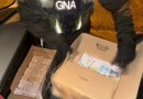 Sem saber, motorista leva carga de 50 milhões em caixas de papelão
