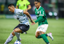 Grêmio perde para o Palmeiras e se aproxima da zona de rebaixamento