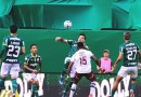 Campeão virtual! Palmeiras bate o Fluminense e fica mais perto do título