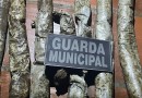 Guarda Municipal encontra material explosivo em residência abandonada