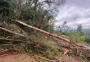 Imagens mostram destruição após forte temporal