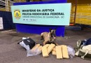 Polícia Rodoviária Federal apreende 11,830kg de maconha em ônibus