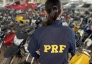 PRF de SC leiloa mais de 300 veículos apreendidos; confira como participar