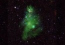 Nasa divulga imagem de grupo de estrelas em formato de árvore de Natal