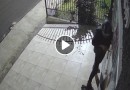 Na madrugada, criminosos arrombam pizzaria e cometem furto