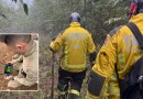Bombeiros ampliam buscas por homem desaparecido no Oeste de SC e mobilizam drone, cão farejador e reforço especializado
