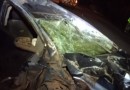Homem dorme ao volante e capota veículo com criança de 10 anos