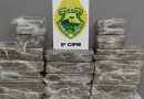 PCPR deflagra operação para desarticular associação criminosa ligada ao tráfico