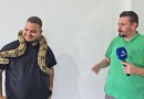 Cerqueirense mantém jiboia como animal de estimação há cinco anos e desperta curiosidade