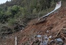 Caixa-preta de avião que caiu na China é encontrada