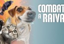 Dia Mundial de Combate à Raiva: o que você precisa saber sobre a doença