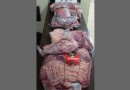 Dois funcionários de supermercado são presos acusados de furtar mais de 30 kg de carne