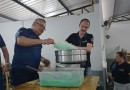 Programação do Dia das Crianças leva diversão e alegria aos alunos da Escola Severino Bruschi