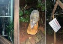 Mulher danifica objetos públicos nas proximidades do Bosque Municipal