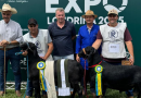 Cabanha Sartor é campeã na raça Santa Ines de ovinos na Expo Londrina