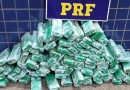 PRF flagra mais de 50 kg de maconha escondidos em lataria de veículo na BR 163
