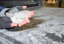 Santa Catarina amanhece com temperaturas negativas e sensação térmica de -25ºC
