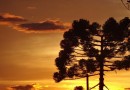 Nova massa de ar frio derruba as temperaturas em SC nesta quarta