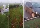 Veículo invade e danifica canteiro do trevo