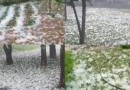 Tempestade de granizo devasta plantações