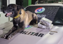 Droga é apreendida em operação com Exército Brasileiro na rodoviária